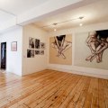 Do Artists Have to Pay to Exhibit in Galleries? - An Expert's Perspective